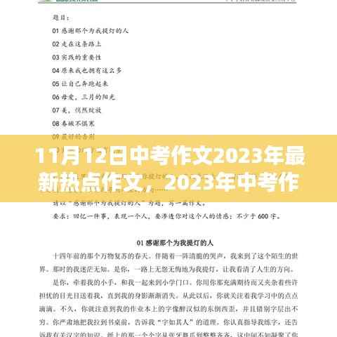 2023年中考作文热点聚焦与影响分析,回顾与展望
