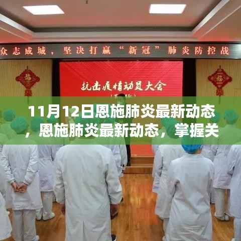 11月12日恩施肺炎最新动态更新,掌握关键信息的步骤指南