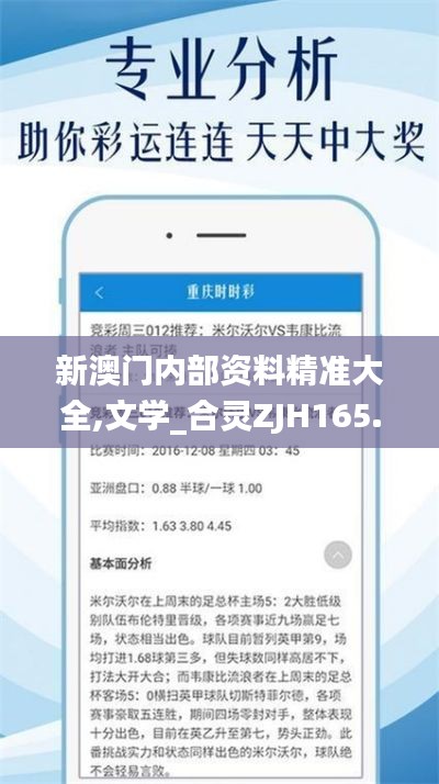 新澳门内部资料精准大全,文学_合灵ZJH165.14
