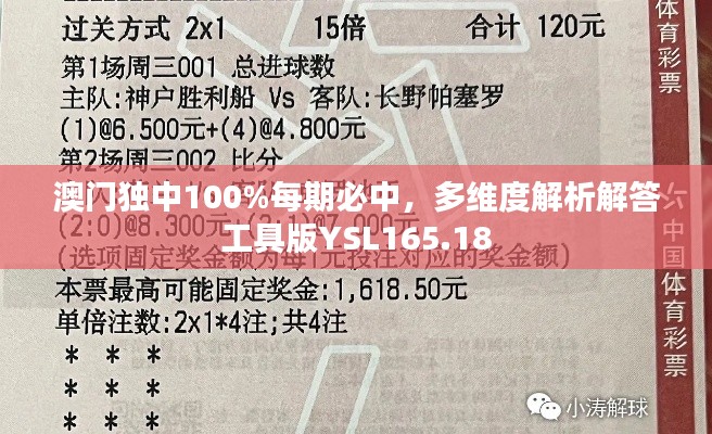 澳门独中100%每期必中,多维度解析解答工具版YSL165.18