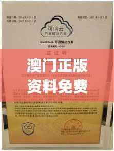 澳门正版资料免费大全新闻最新大神,安全策略评估方案_可靠版WVG467.27