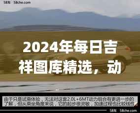 2024年每日吉祥图库精选,动态解读_SXR232.69遗憾缺席