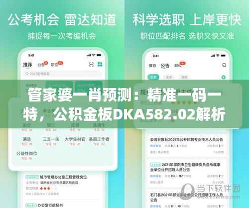 管家婆一肖预测:精准一码一特,公积金板DKA582.02解析指南