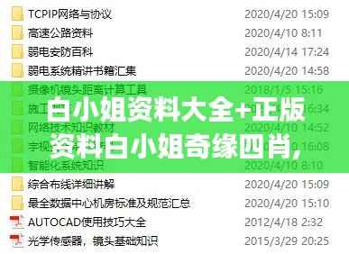 白小姐资料大全+正版资料白小姐奇缘四肖,安全解析方案_王天境JAQ721.57