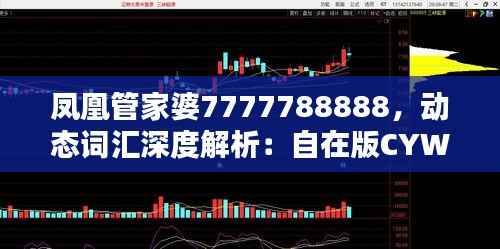 凤凰管家婆7777788888,动态词汇深度解析:自在版CYW389.88