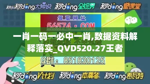一肖一码一必中一肖,数据资料解释落实_QVD520.27王者