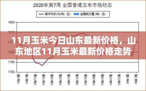 山东地区最新玉米价格走势及分析影响因素报告发布!
