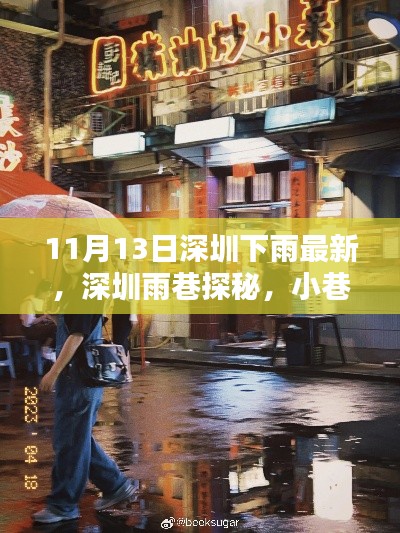 深圳雨巷探秘,美味惊喜与雨中的小巷风情
