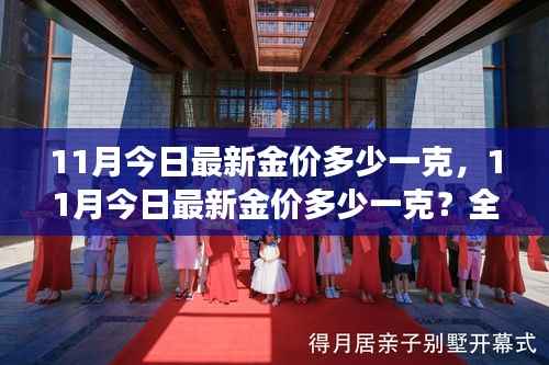 最新金价解析,11月黄金市场走势及每克最新价格