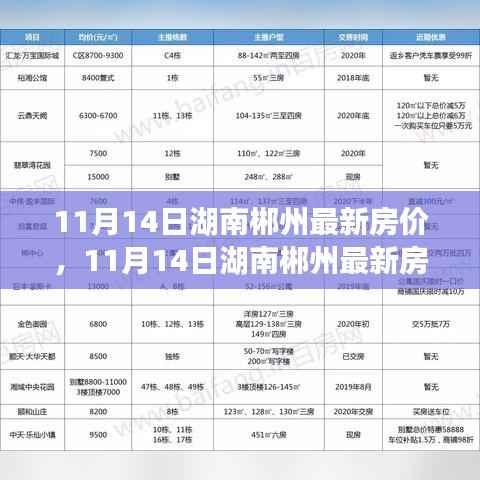 11月14日湖南郴州最新房价分析与展望