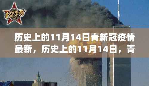 历史上的11月14日,青新冠疫情最新进展及其社会反响与观点碰撞