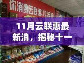 揭秘十一月云联惠最新动态,小巷特色小店深度探索