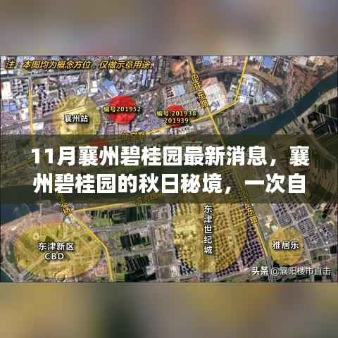 襄州碧桂园秋日秘境,自然美景的心灵之旅最新消息揭秘