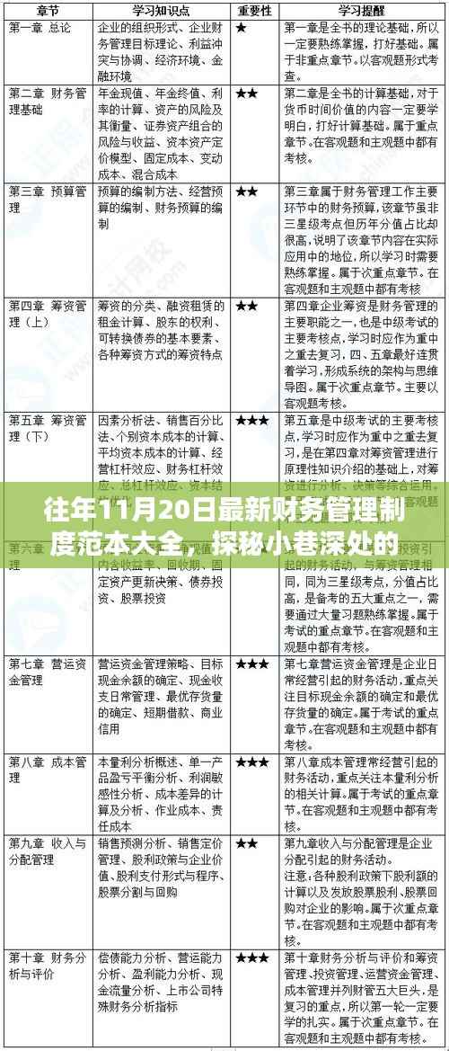 往年11月最新财务管理制度范本及小巷特色小店探秘,揭示独特魅力与制度范本大全
