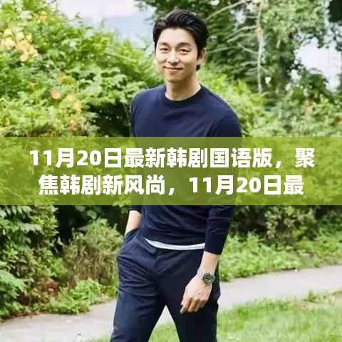 11月20日最新韩剧国语版,聚焦韩剧新风尚,11月20日最新韩剧国语版深度解析