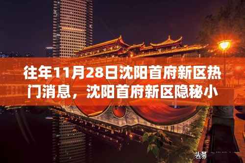 沈阳首府新区隐秘宝藏小店,揭秘往年11月28日的热门故事