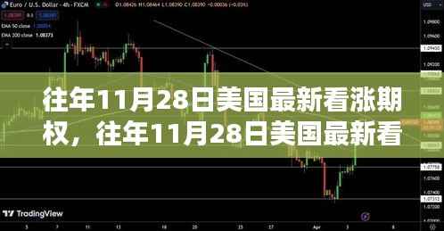 往年11月28日美国最新看涨期权深度解析与评测报告