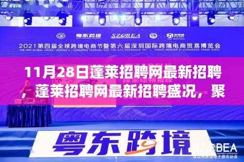 11月28日蓬莱招聘网最新招聘盛况,职场风向标聚焦