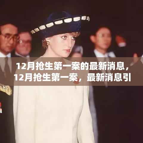 12月抢生第一案最新动态,热议与观点碰撞