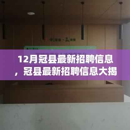 冠县最新招聘大揭秘,超多岗位等你来挑战,12月就业机会大放送!