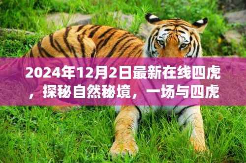 张牙舞爪 第9页