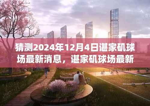 谌家矶球场最新动态展望,未来赛事猜想(2024年12月4日)