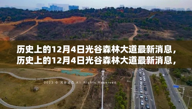 揭秘历史12月4日光谷森林大道的最新消息与探索指南
