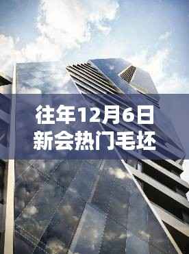 揭秘新会热门毛坯二手楼市,购房者三大关注点解析(往年12月6日)