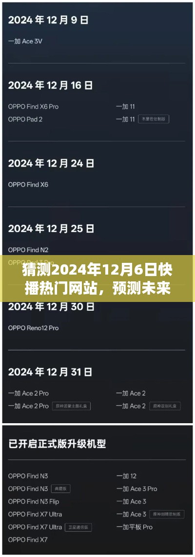 2024年12月6日快播热门网站预测,深度体验与评测报告