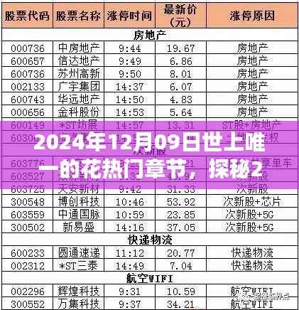 探秘世上唯一的花,揭秘热门章节三大要点(日期,2024年12月09日)