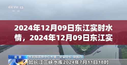 2024年12月09日东江实时水情详解与查询指南