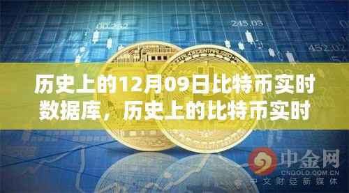12月09日比特币实时数据库深度探索,从初学者到进阶用户的全方位指南