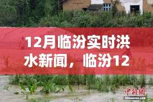 临汾12月实时洪水新闻深度解析,洪涝灾情与应对措施