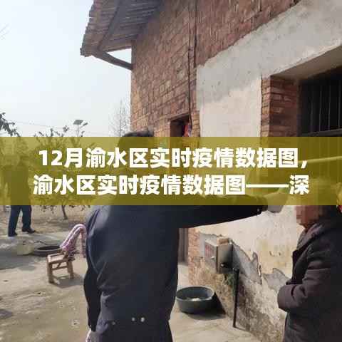 渝水区实时疫情数据图深度解析,十二月疫情走势分析
