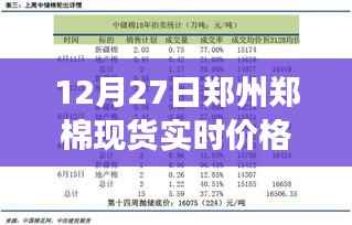 12月27日郑州郑棉现货实时价格表,全面解析与市场洞察