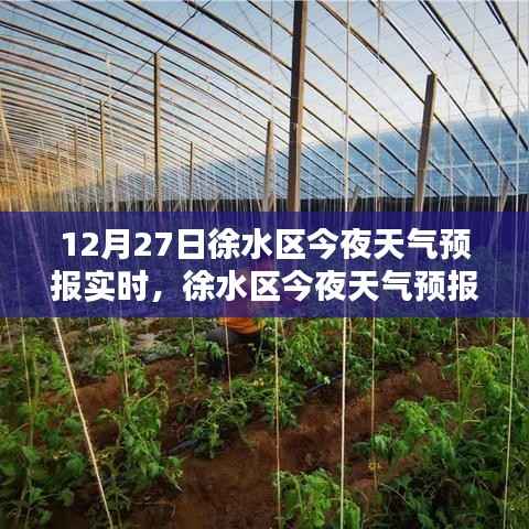 徐水区(12月27日版)今夜天气预报实时解析