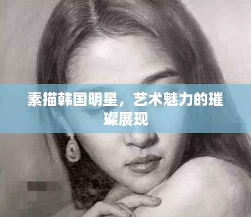 素描韩国明星,艺术魅力的璀璨展现