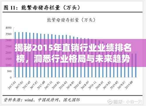 揭秘2015年直销行业业绩排名榜,洞悉行业格局与未来趋势