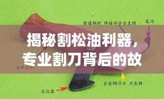 雪中送炭 第3页