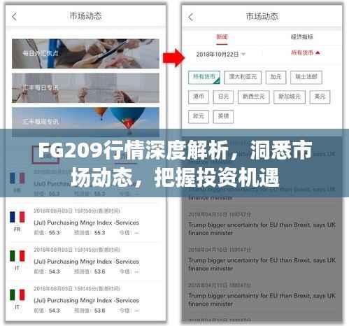 FG209行情深度解析,洞悉市场动态,把握投资机遇