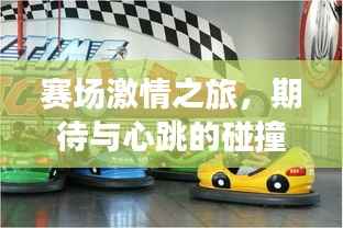 赛场激情之旅,期待与心跳的碰撞
