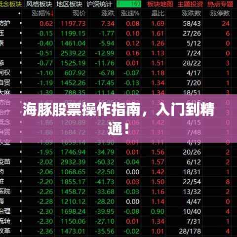 海豚股票操作指南,入门到精通!