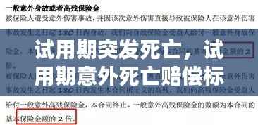 试用期突发死亡,试用期意外死亡赔偿标准2020