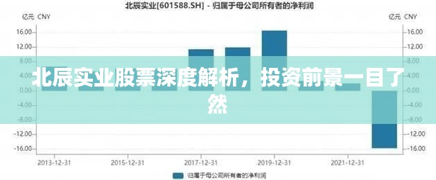 北辰实业股票深度解析,投资前景一目了然