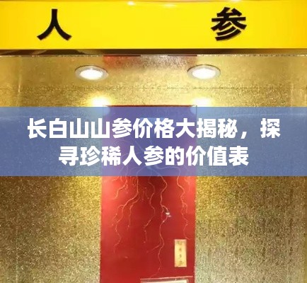 长白山山参价格大揭秘,探寻珍稀人参的价值表