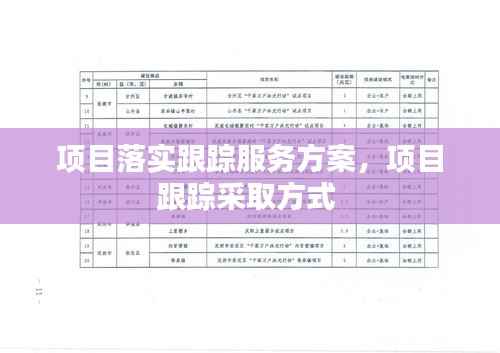 项目落实跟踪服务方案，项目跟踪采取方式 