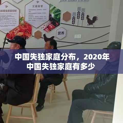 中国失独家庭分布,2020年中国失独家庭有多少