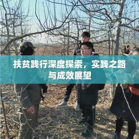 扶贫践行深度探索,实践之路与成效展望