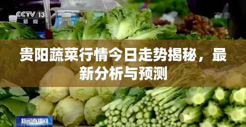 惨淡经营 第2页