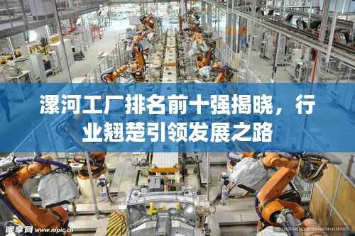 漯河工厂排名前十强揭晓,行业翘楚引领发展之路